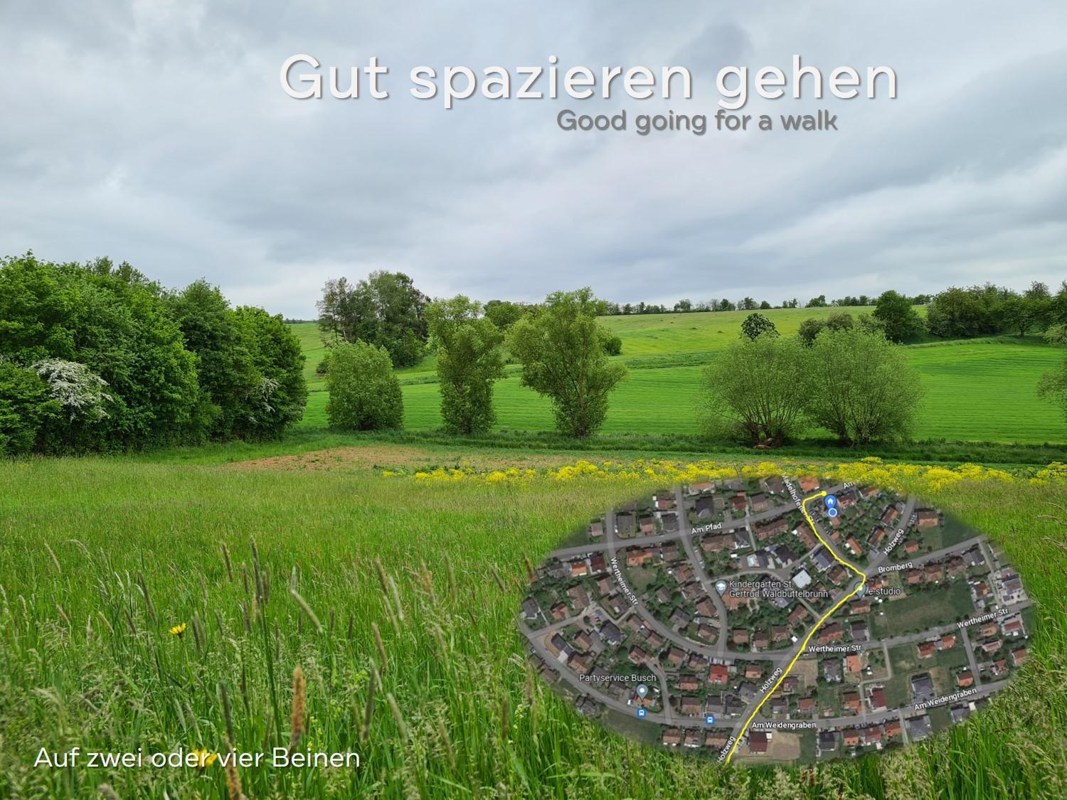 Lichtdurchflutetes Zimmer - Marienberg Waldbuttelbrunn Exterior foto